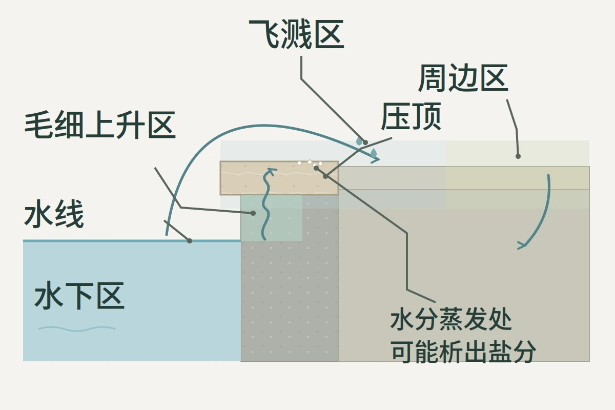 SPA 池边剖面:压顶周围的水下区、毛细上升区、飞溅区与周边区